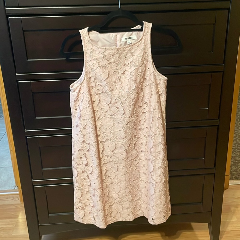 BB Dakota Pink dress